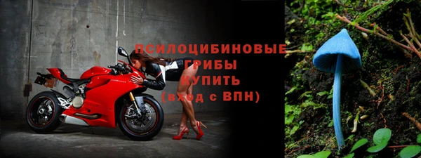 эйфоретик Баксан